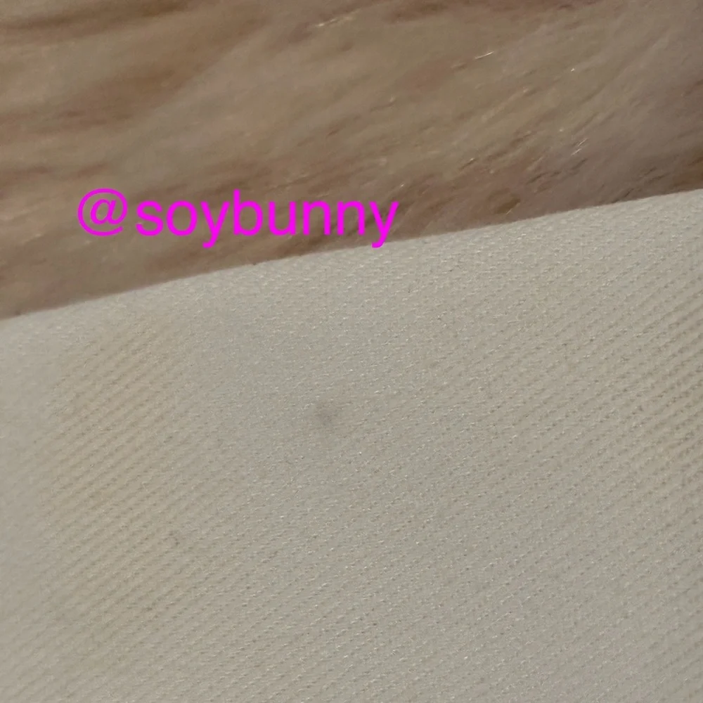 🐰 Large Kate Spade Dust Bag (GUC; Cream/Black)